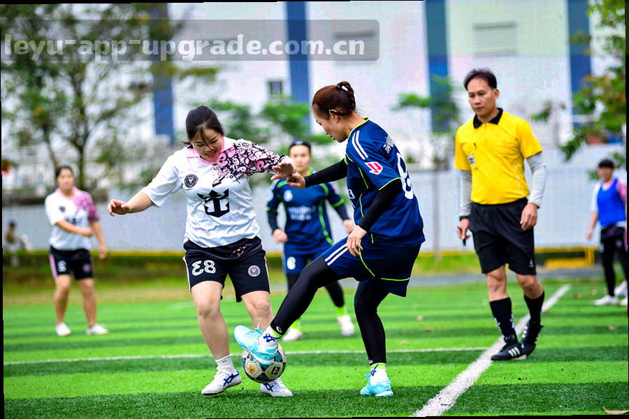 球队档案检索界面与数据条目排布的抽象示意图形
